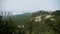 Panoramic of Mountains & hill,wind shaking pine.