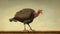Panoramic Oil Painting Of Adult Male Turkey With Wires In Frank Quitely Style