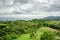 Panoramic overlooking view of green tropical vegetation