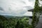 Panoramic overlooking view of green tropical vegetation