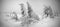 Panoramic photo of fir trees bowed by snowstorm