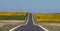 Panoramic photo of sunflower fields in the distance, with road dissecting, near Chenonceau in the Loire Valley, France.