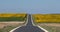 Panoramic photo of sunflower fields in the distance, with road dissecting, near Chenonceaux in the Loire Valley, France.