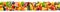 Panoramic photo vegetables and fruits in frame of vertical strip