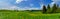 Panoramic photography of wide Dandelion field under blue sky and