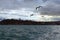 Panoramic romantic view of The Bosporus Bosphorus or Strait of Istanbul and residential buildings of Istanbul.