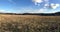 Panoramic rustic landscape with field and forest at far under beautiful blue sky with many white clouds in golden autumn