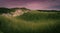 Panoramic sand dune and rolling hill wilderness landscape with growing green grass and erosion at cloudy pink twilight on Cape Cod