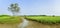 Panoramic, scenic wetlands with green meadows