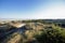 Panoramic seascape view, green vegetation on rolling coastal sand dunes