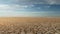 Panoramic shot of cracked soil ground of dried lake or river.