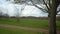 Panoramic Shot Of Early Spring Natural Parck in Swonly, East Kent of London. Hapy Family Walking At The Park. Narure