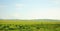Panoramic shot of endless steppe in a picturesque valley overgrown with grass