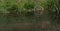 Panoramic shot of a forgotten bicycle in the pond surrounded by greenery