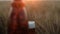 Panoramic shot of glass of beer with a fluffy white cap of foam in a wheat field