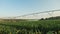 Panoramic shot of irrigated cornfield