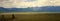 Panoramic shot of the Kurai steppe with a lonely pine and snow-capped peaks of the North-Chuysky ridge in the background. Gorny