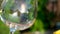 Panoramic shot of a large empty wine glass on the background of green nature