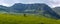 A panoramic shot of a lonely tree standing in a green meadow with a massive rock emerging in the background