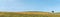 :Panoramic shot of lonely tree in vast empty Zlatibor hill landscape in summer