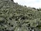 panoramic shot the mountain from an embankment of boulders moss-grown Russia South Ural