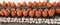 Panoramic shot of rows of orange and white pumpkins for backgrounds