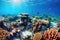 panoramic shot of a vibrant coral reef in crystal-clear turquoise waters, teeming with colorful fish, intricate coral formations