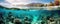 panoramic shot of a vibrant coral reef in crystal-clear turquoise waters, teeming with colorful fish panorama