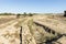 Panoramic Sights of The Sacred Area of Kothon  Area Sacra del Kothon in Province of Trapani, Marsala, Italy.