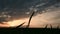 Panoramic silhouette of a green wheat field against the backdrop of the setting sun and an epic sky with sunset clouds