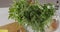 Panoramic slow video to green vegetables. Close-up of arugula, spinach, parsley, dill, balsamic vinegar, olive oil