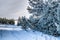 Panoramic snowy winter landscape.