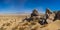 Panoramic Stand of Stone Boulders in Desert