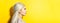 Panoramic studio profile portrait of young beauty blonde girl with blue eyes, on background of yellow banner with copy space.