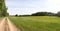 Panoramic Summer Field