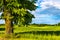 Panoramic summer view of meadows and wooded plains at Jezioro Selmet Wielki lake in Sedki village in Masuria region of Poland