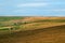 Panoramic sunlit pennine landscape with typical yorkshire dales stone walls and farmhouses and sheep grazing in the fields