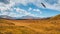 Panoramic sunny motley autumn landscape with sunlit gold big valley under cloudy sky. Awesome alpine scenery with beautiful high