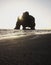 Panoramic sunrise view of Hvitserkur dragon rock formation petrified basalt sea stack Vatnsnes Peninsula Iceland