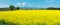 Panoramic Swiss summer rural landscape