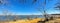 Panoramic tall dormant and bare trees along sandy shoreline of Lake Lewisville near Dallas, Texas, America