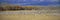 A panoramic of thousands of migrating snow geese and Sandhill cranes taking flight over the Bosque del Apache National Wildlife Re