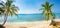Panoramic tropical beach with coconut palm