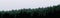 Panoramic vector illustration of a forest under a overcast gray