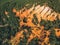 Panoramic view from above on Abstract Rustrel canyon. Colorado Provencal, France