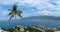 Panoramic view of Acapulco Bay in Mexico, the Pacific Ocean. palm tree close-up on the background of the Bay