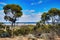 Panoramic view across a salt lake and vast forests, Western Australia