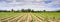 Panoramic view of agricultural field in South San Francisco Bay Area; Gilroy, California