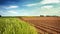 Panoramic view of agricultural fields, slider shot