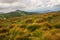 Panoramic view on alpine grass. Bad weather in the mountains.